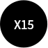 X15